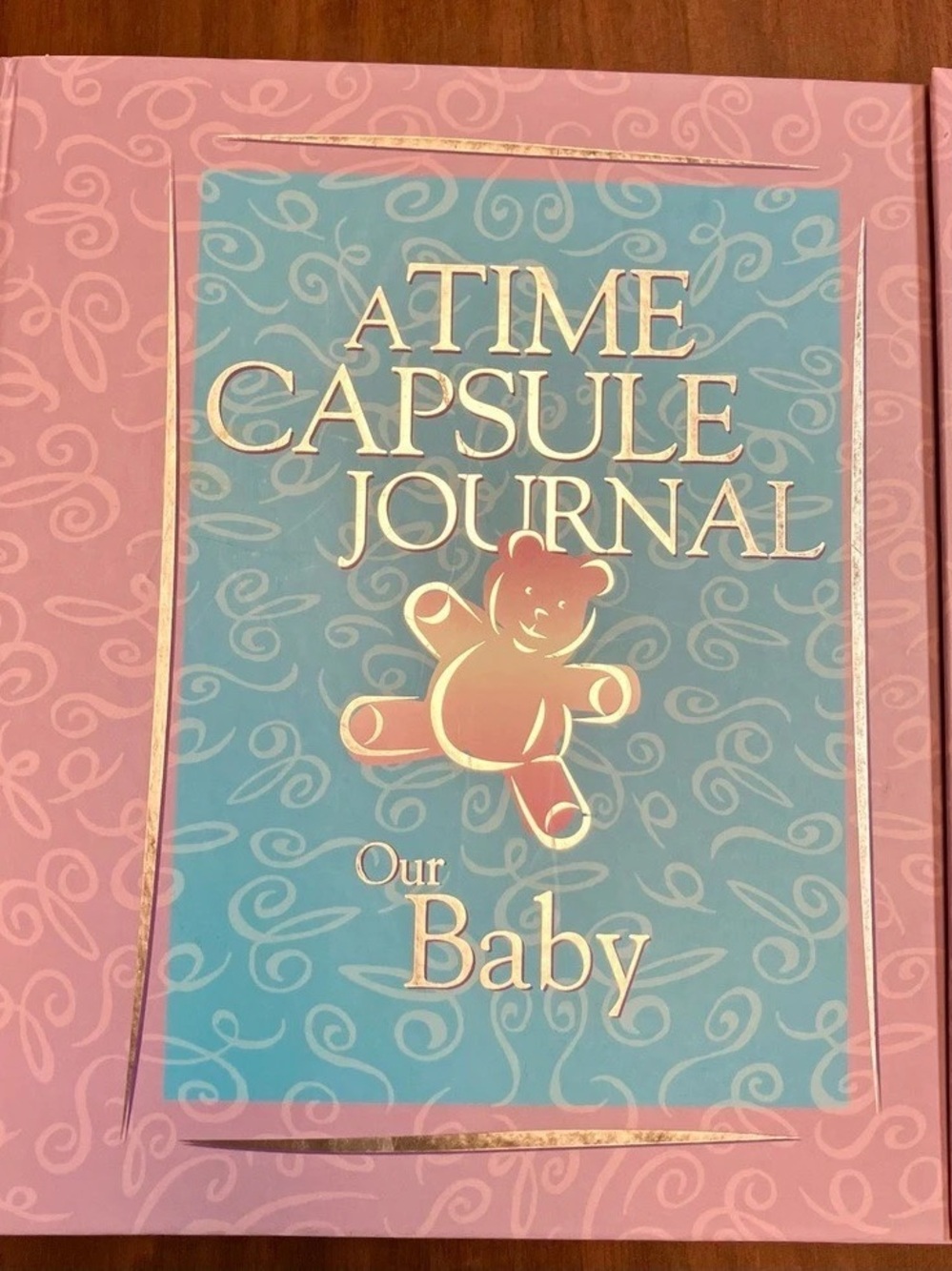 Antioch Publishing A Time Capsule Journal: Our Baby Pink & Blue